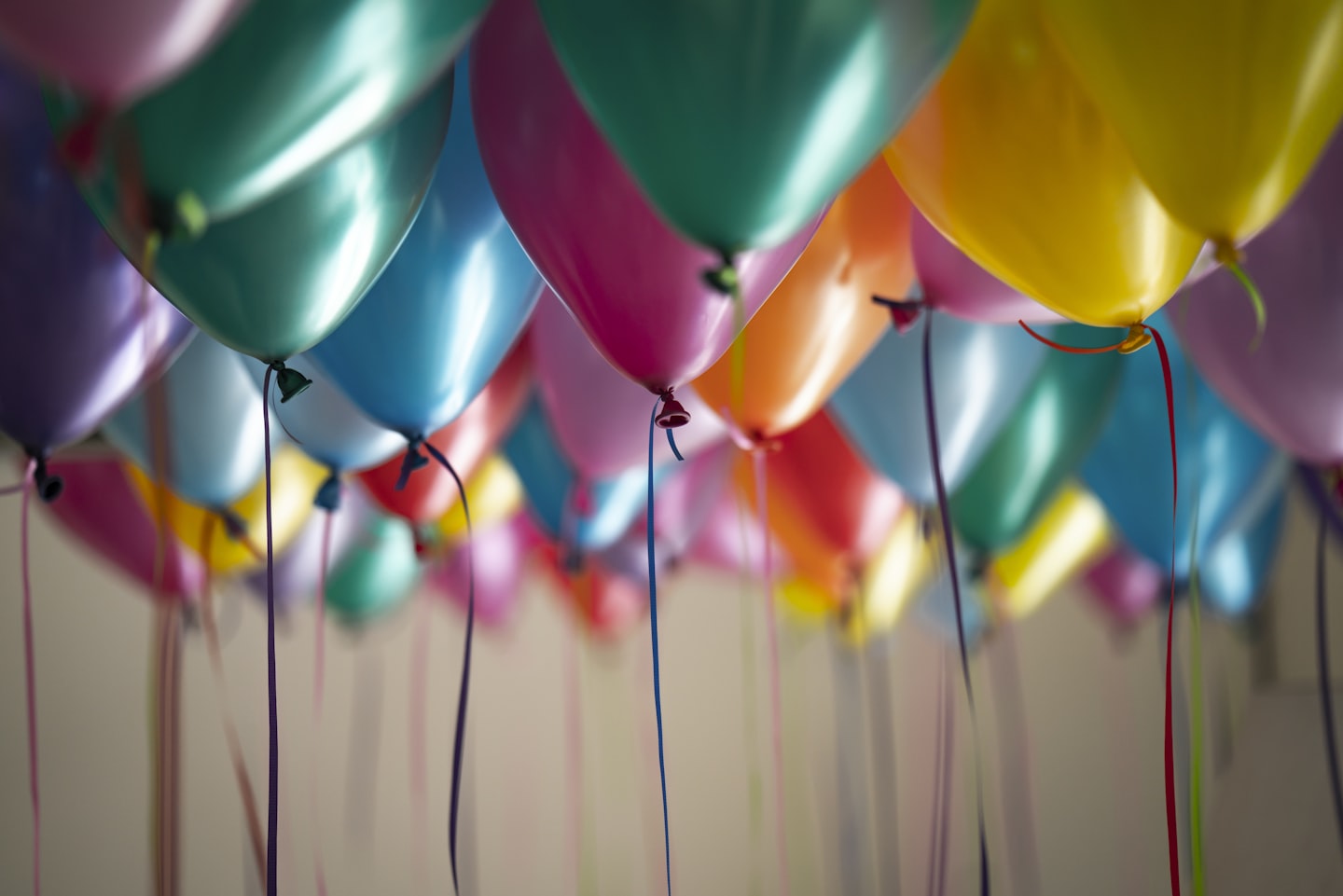 Party